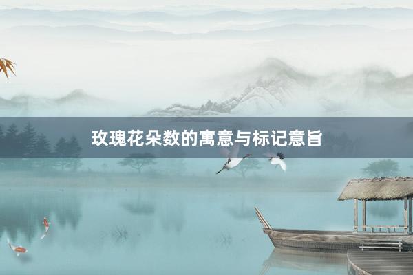 玫瑰花朵数的寓意与标记意旨
